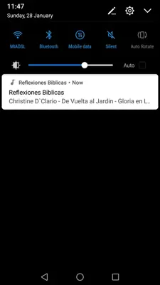 Reflexiones Biblicas android App screenshot 3